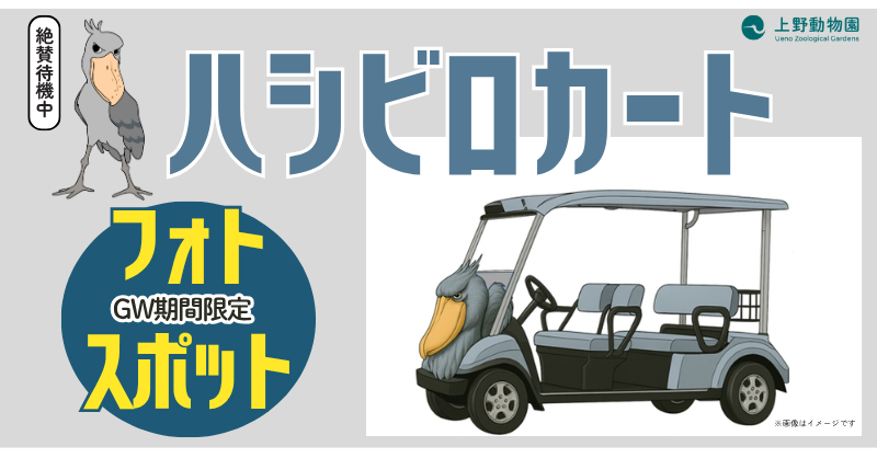 東京都 観光 tweet media