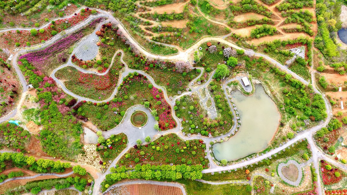Qingdao West Coast New Area tweet media
