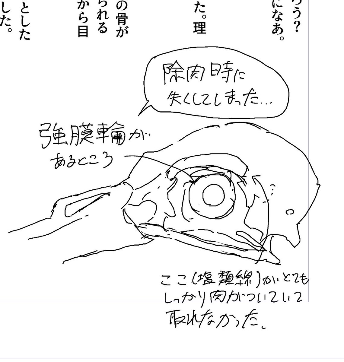 オノ tweet media