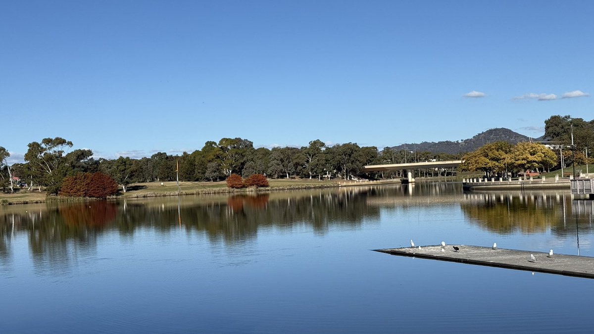 wapple15's tweet photo. Not the #UsualSeagull but a bunch of antipodean cousins from #LakeTuggeranong in the south of #Canberra for a #SeagullReport + a whole shitload of the Thursday Blues. https://t.co/fRwfshUHQ6