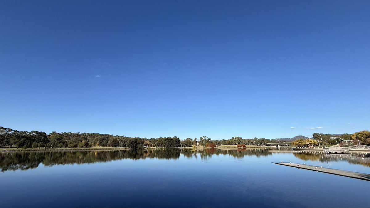 wapple15's tweet photo. Not the #UsualSeagull but a bunch of antipodean cousins from #LakeTuggeranong in the south of #Canberra for a #SeagullReport + a whole shitload of the Thursday Blues. https://t.co/fRwfshUHQ6