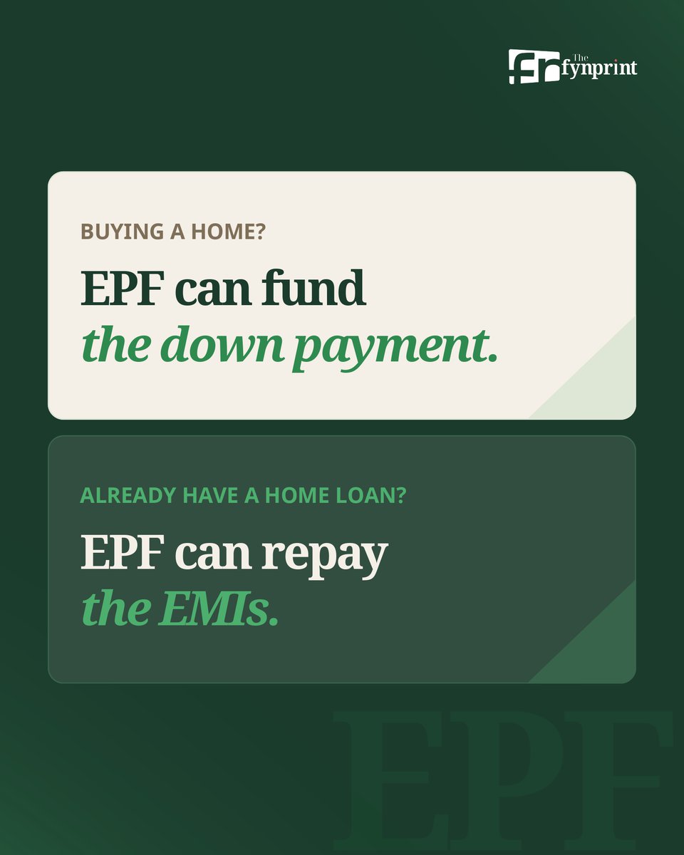 Thefynprint tweet media