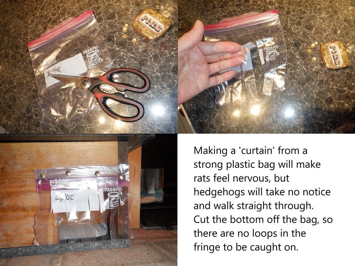 Hedgehog Cabin tweet media