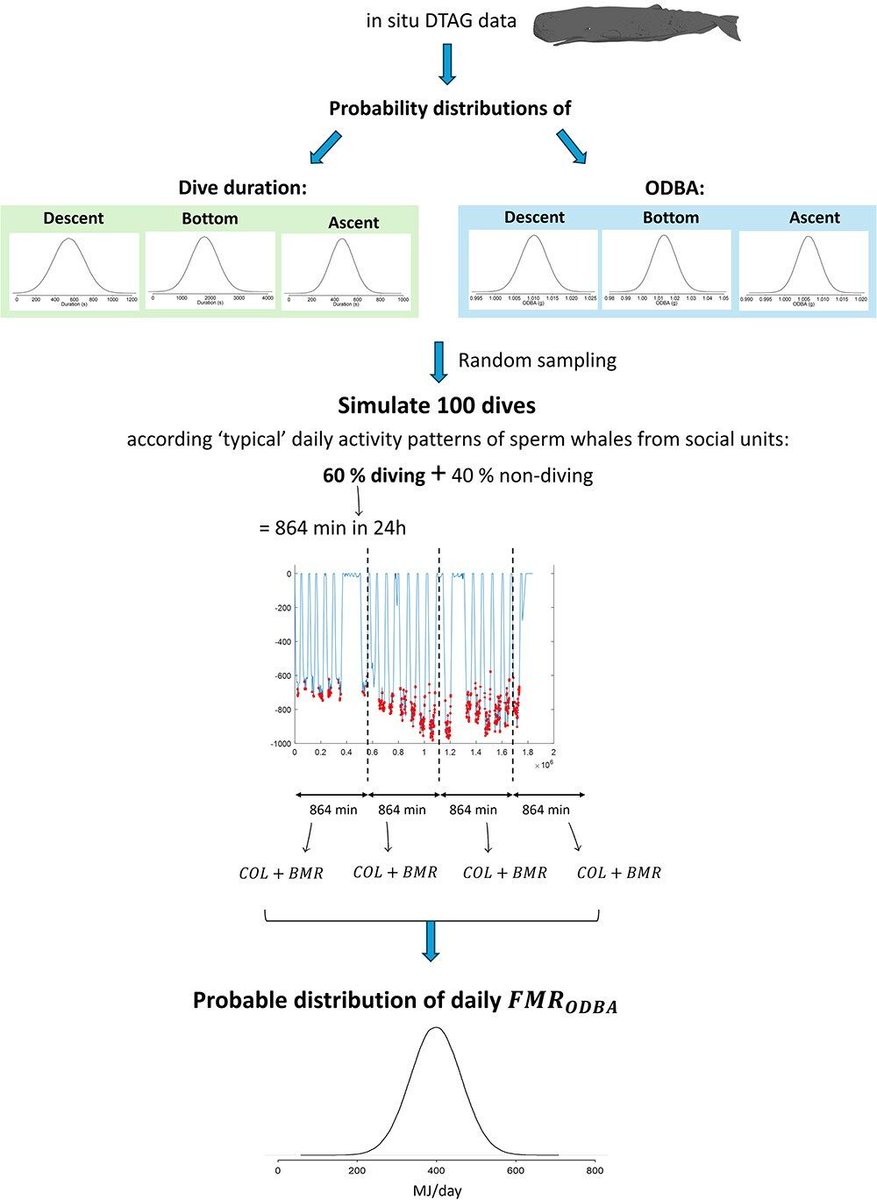 ConservationPhysiology tweet media