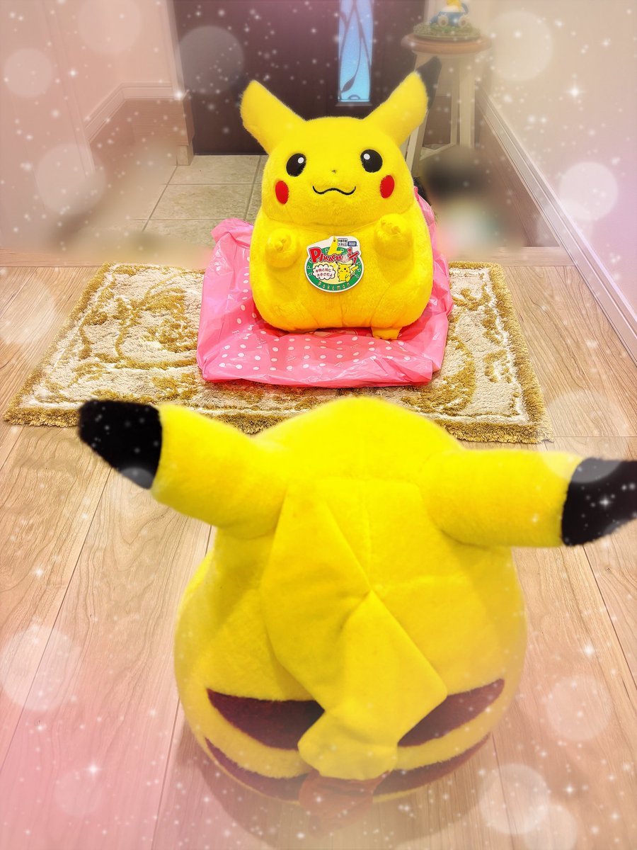 ❄︎あやこ❄︎ tweet media
