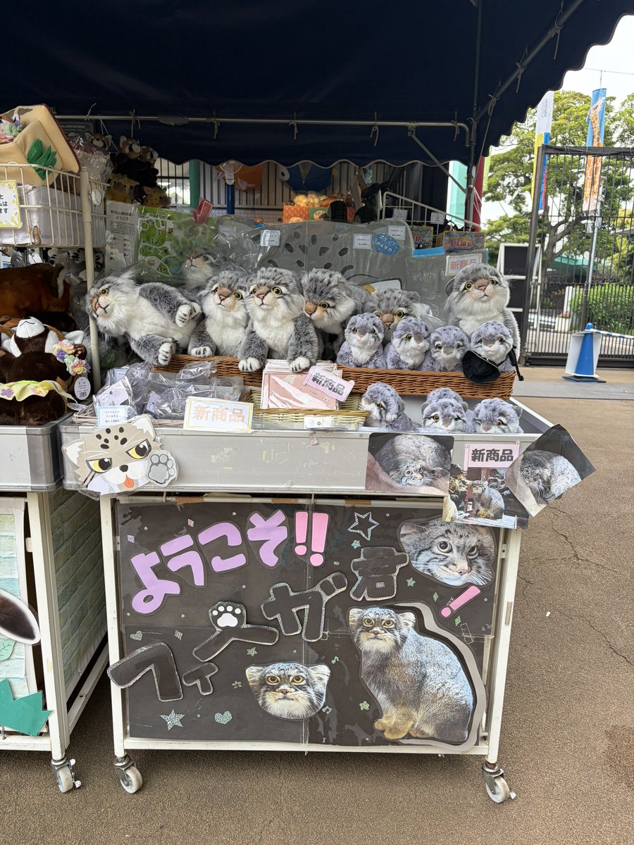 ちーさん tweet media