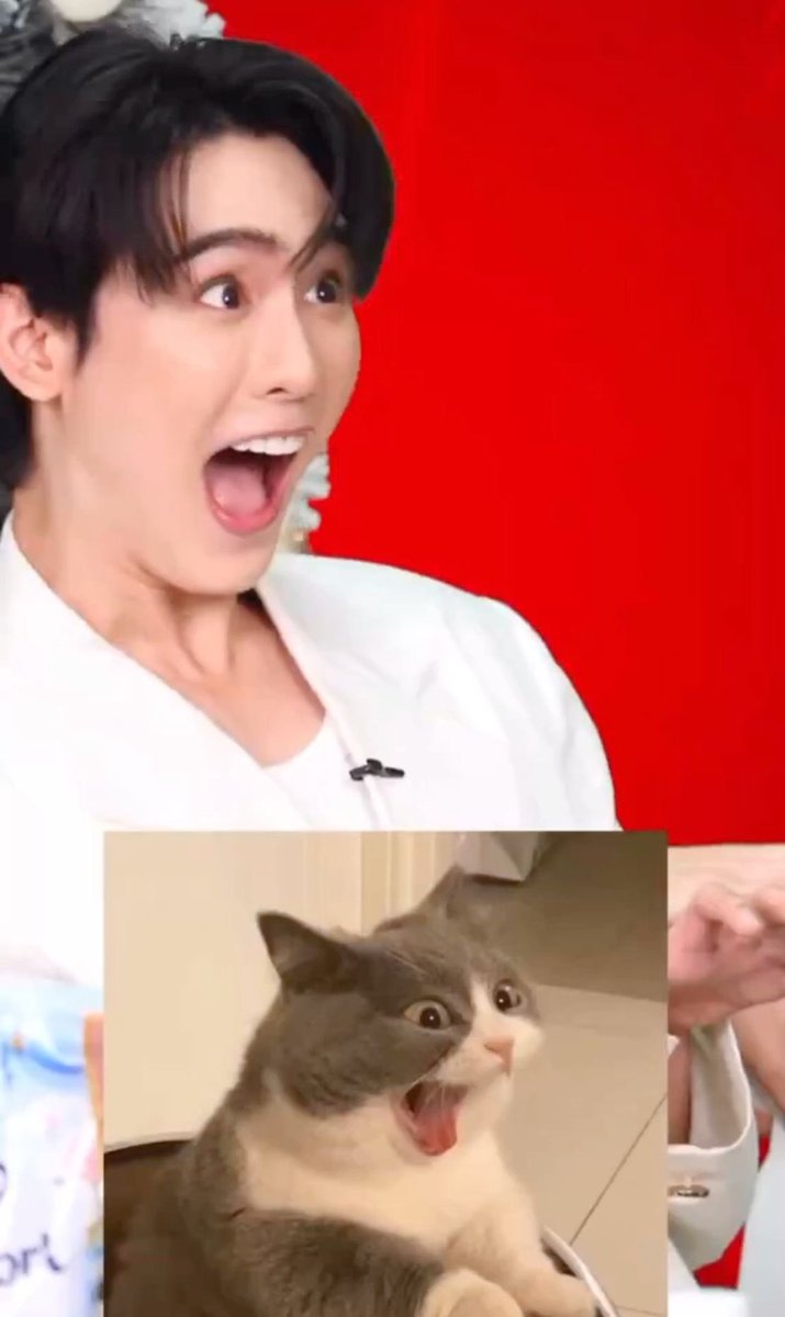 ‧⋆𐙚˚ 𝗣𝗮𝗿𝗲𝘄𝗮𝗾⋆. (아린) 🐰ྀི tweet media