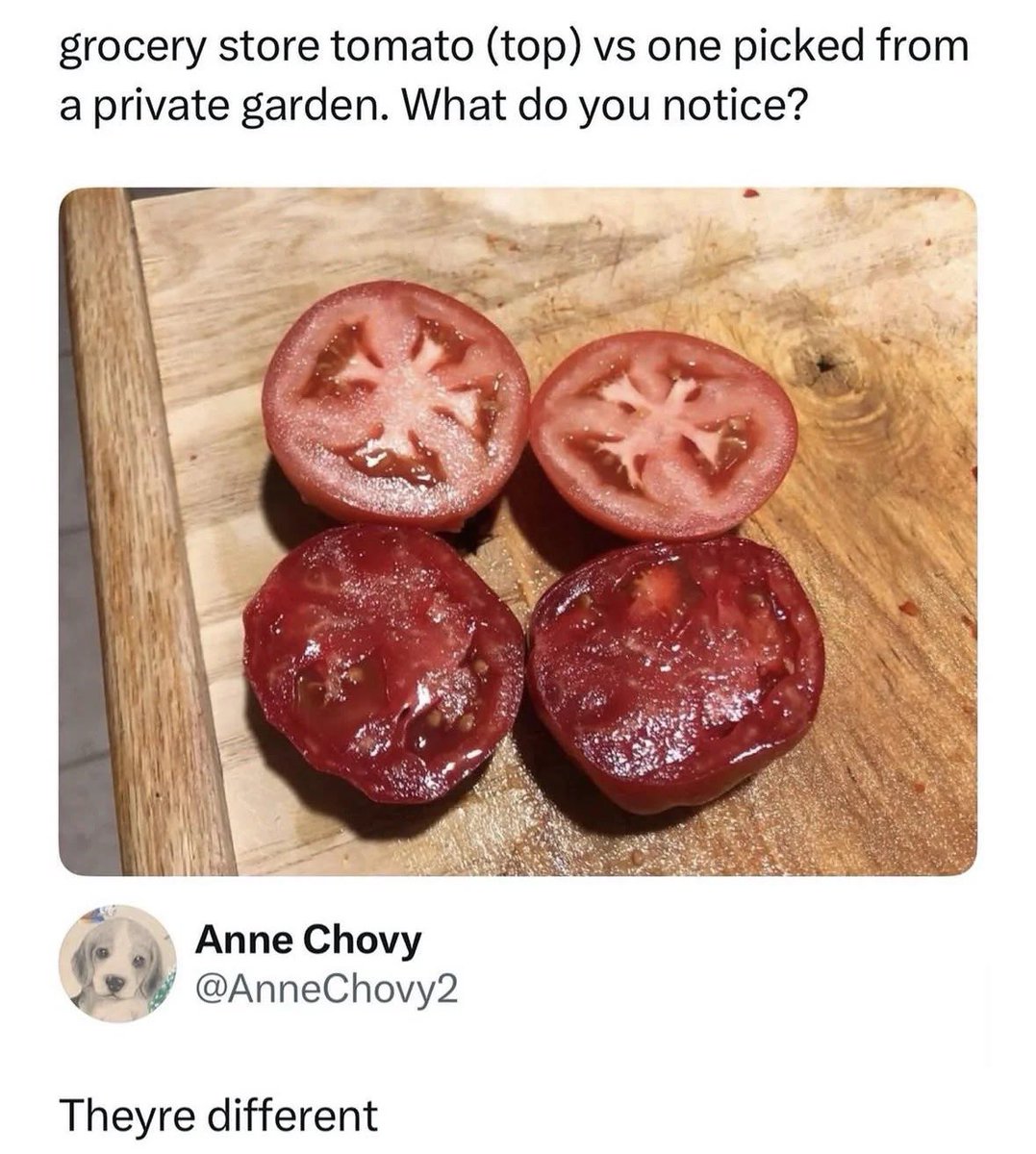 NO CONTEXT HUMANS tweet media