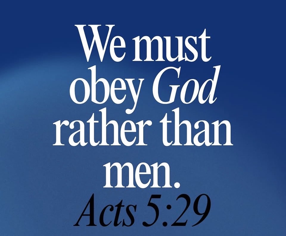 WarriorsNPrayer's tweet image. Prayer Warriors, the word of the Lord says;
Acts 5:29

Decree His Promises
I decree I will obey God, rather than any human authority. Amen 
#prayerwarriors🙏🏽
#blessings 
#promises
#favoroftheLord

“God visits industrious men with His favors.” Matthew Henry