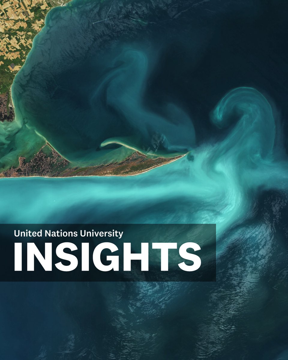UN University tweet media