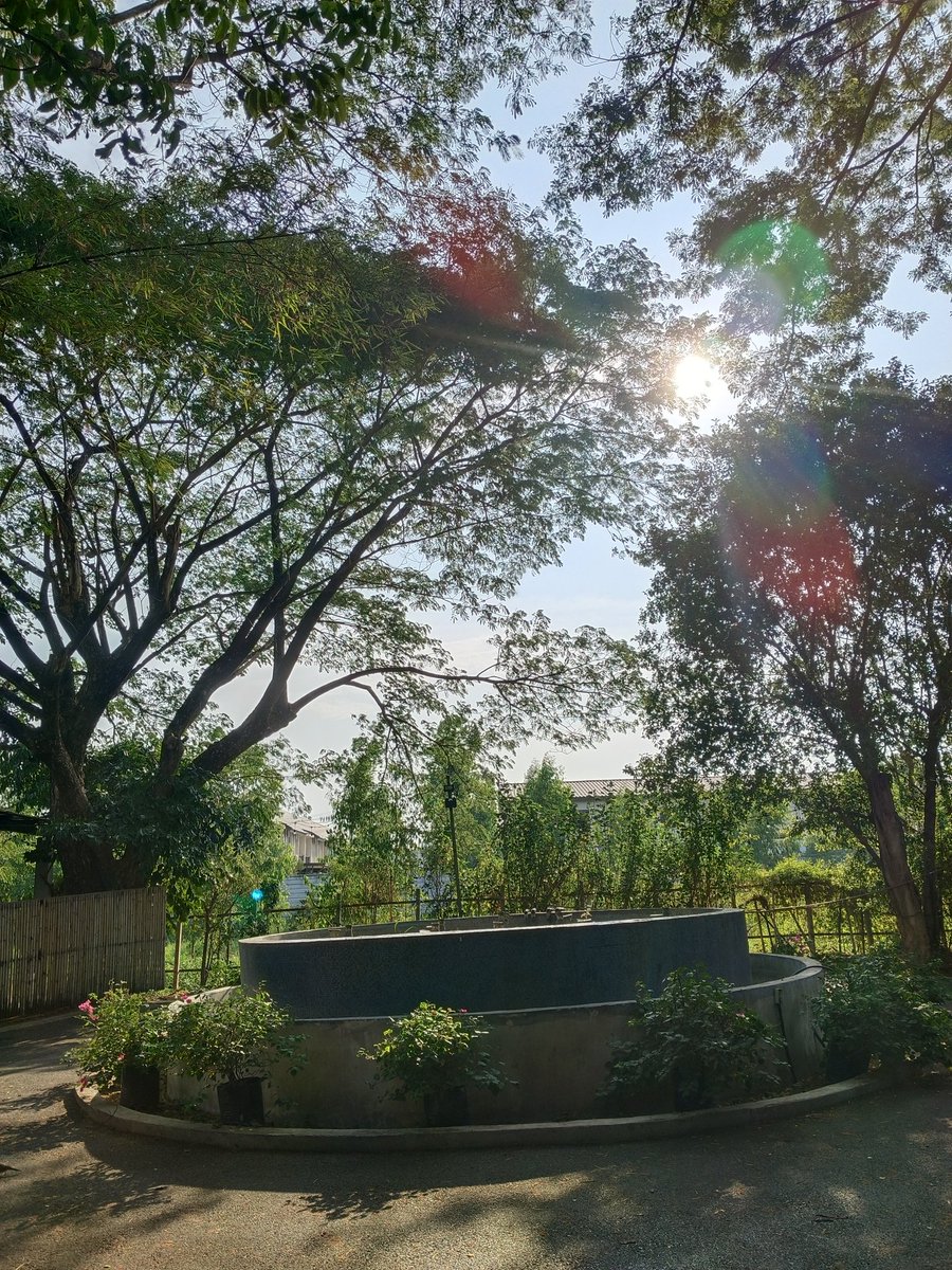 เชอรี่ถือลูกท้อ tweet media