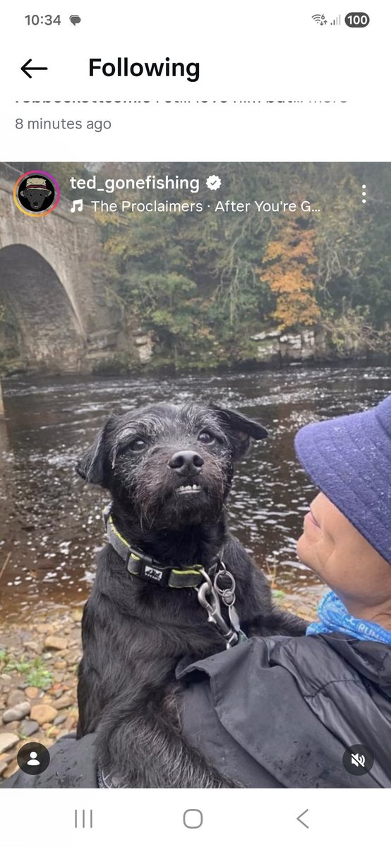 pat869's tweet photo. Very sad news Ted from Gone Fishing with Mortimer and Whitehouse has gone over the 🌈 bridge #RIPTED https://t.co/PCBDYLxIbi