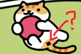 ありがとうを伝えるふ tweet media