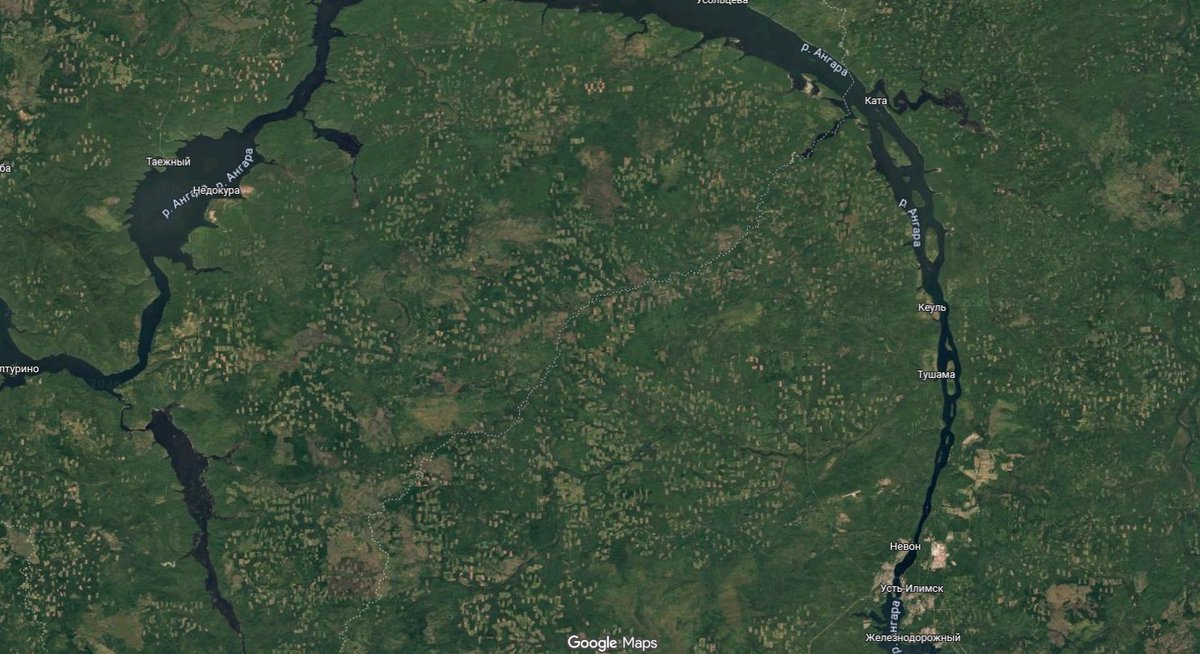 Patrick Star tweet media