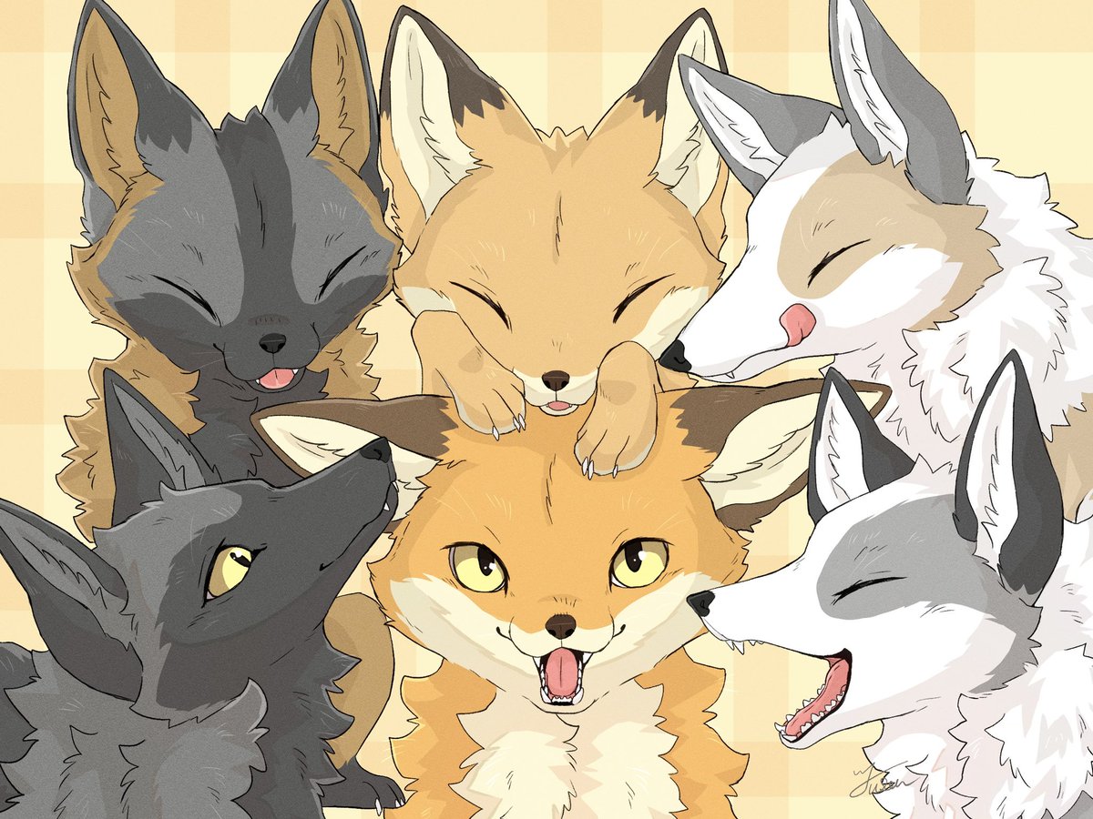 ふさう tweet media