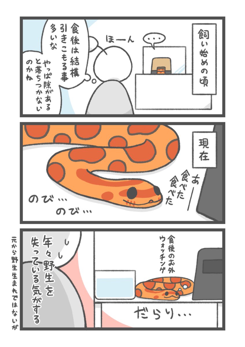 お祭り騒ぎ tweet media