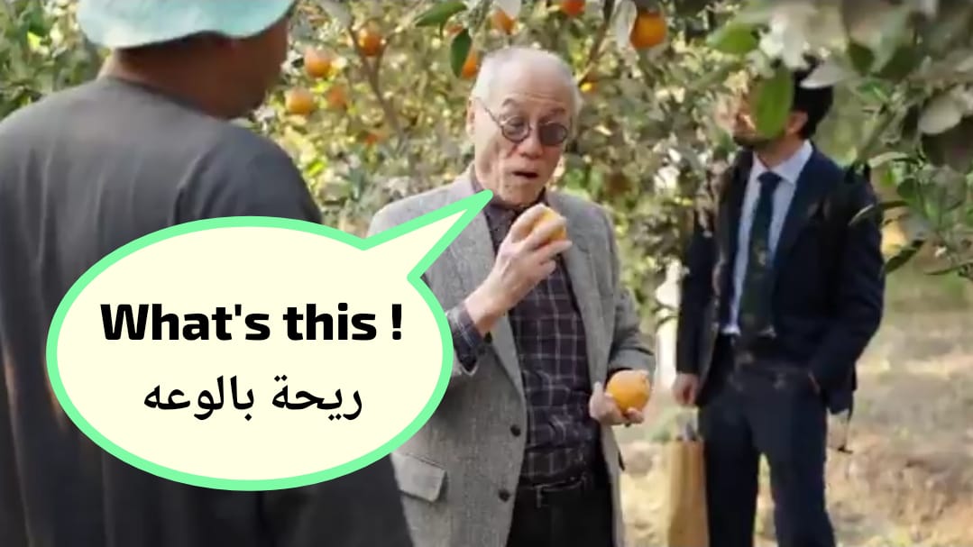 واقعي !! tweet media