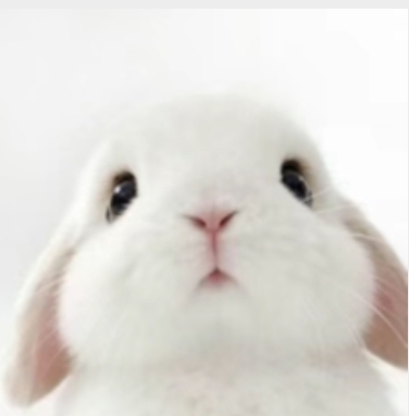 生白inosiro tweet media