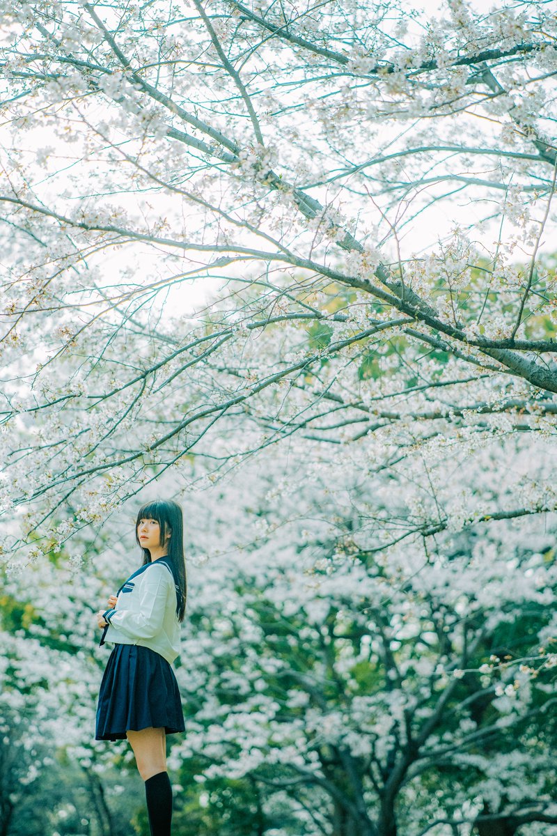 AstrHori's tweet image. Capturing Portraits in Spring with AstrHori 85mm F1.8 II
Soft light, gentle tones, and the natural beauty of the season coming through every frame.

Credit: @danielmardjuadi
#astrhori #astrhoriAF85mmF18II #portraits #SpringFlowers #sakura