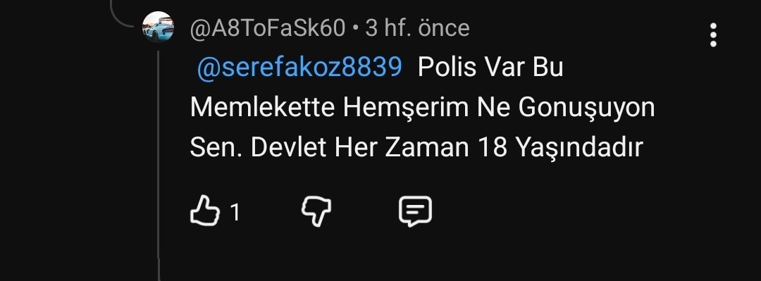 Kurtarslan tweet media