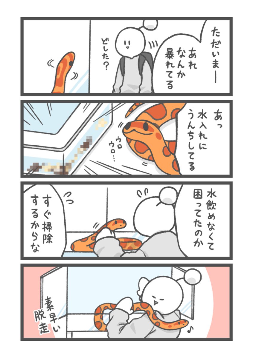 お祭り騒ぎ tweet media