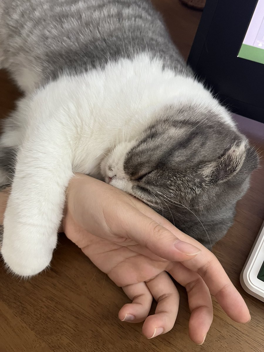 잠깐만 놔바바
