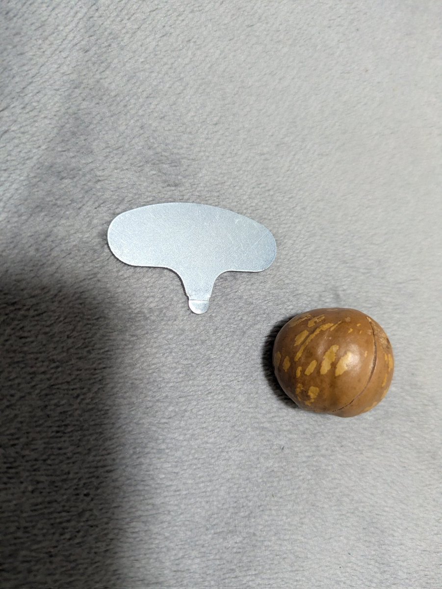 マカダミアナッツの殻を割りながら食べてたら、間違えて殻を口に入れて中身を捨てそうになったわ
