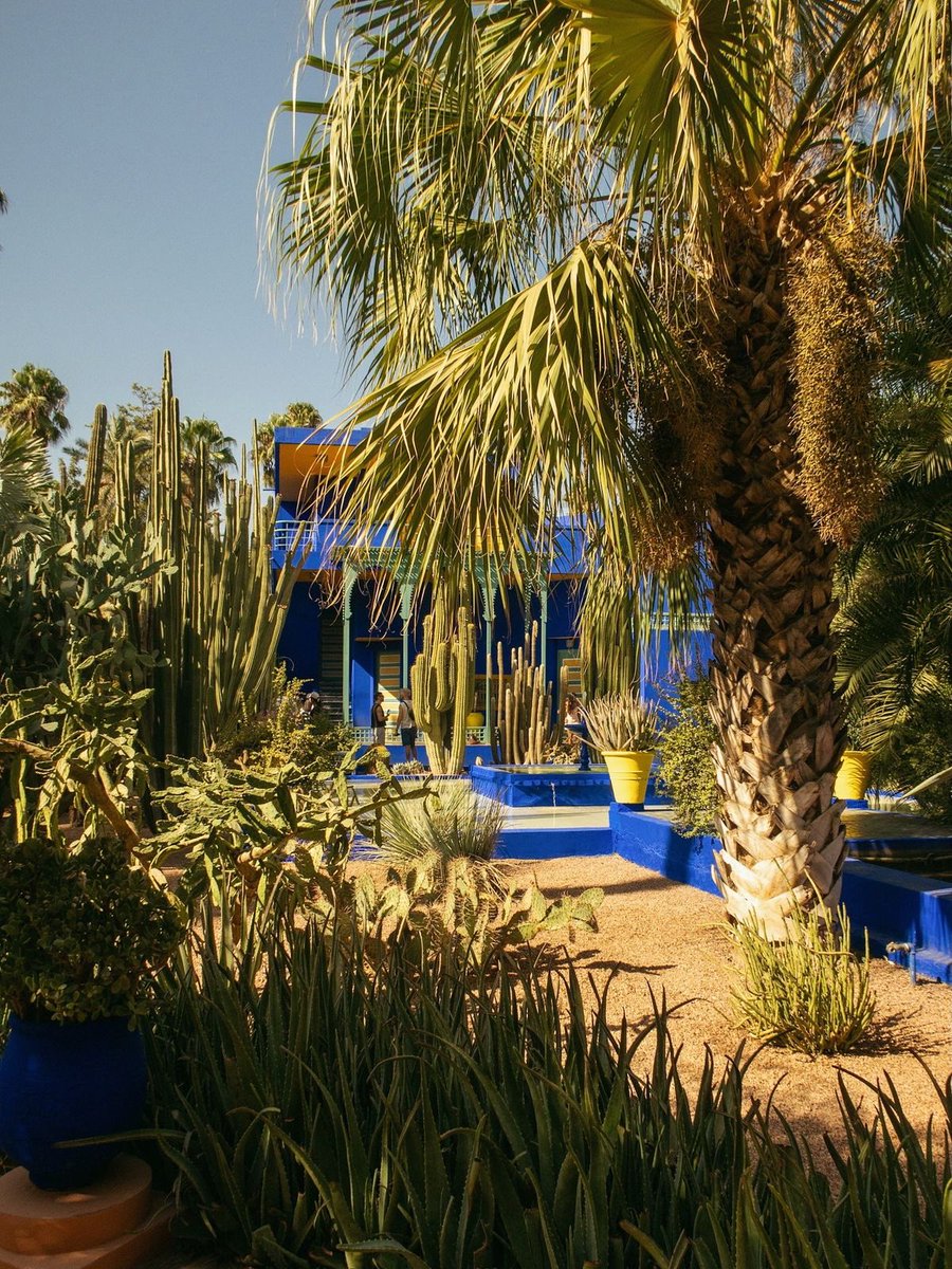 Jardin Majorelle, Morocco