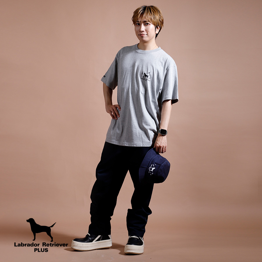 Labrador Retriever PLUS tweet media