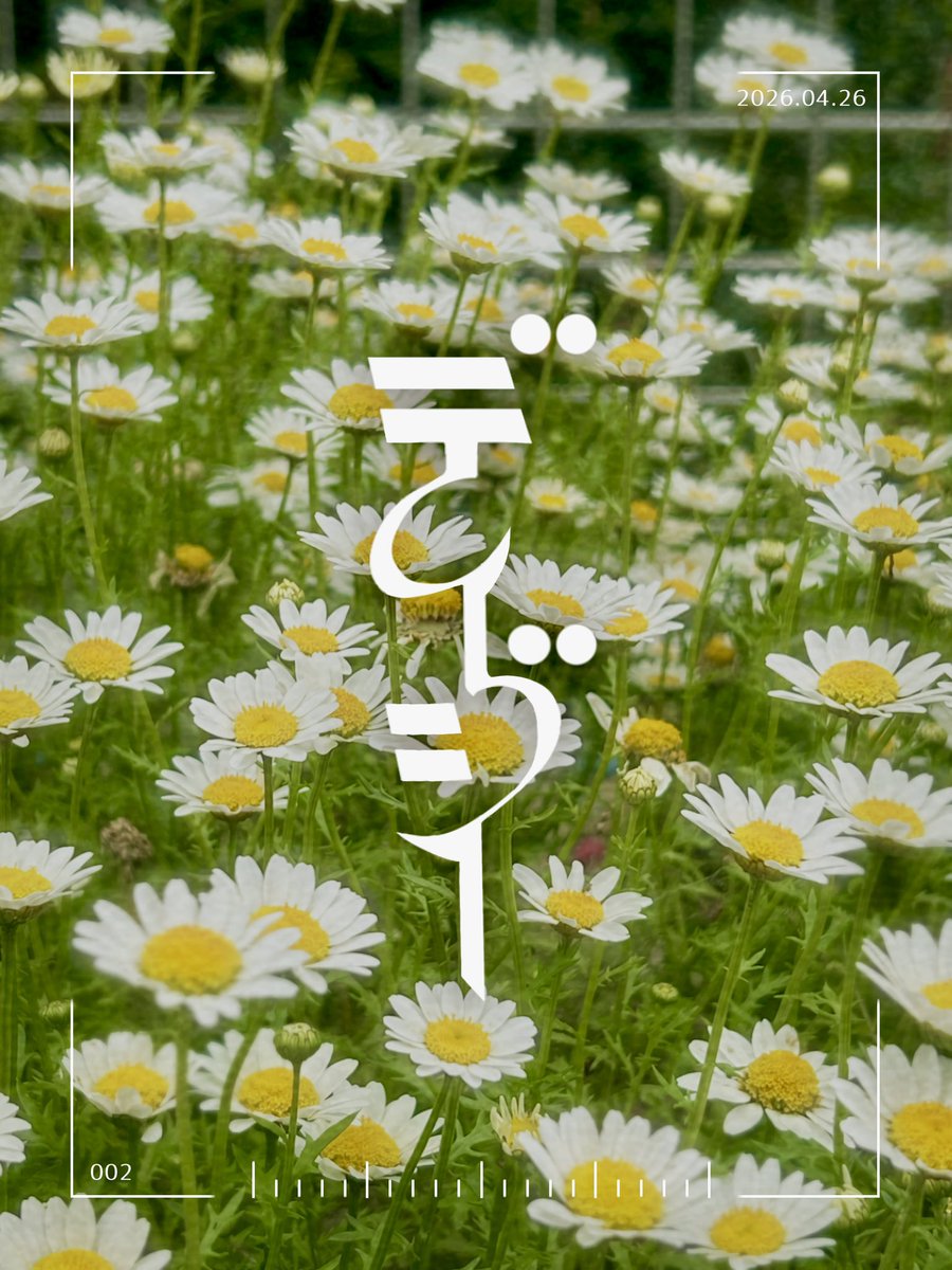 湊 tweet media