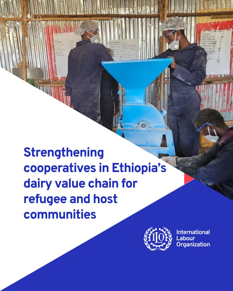 ILO Cooperative, Social and Solidarity Economy tweet media