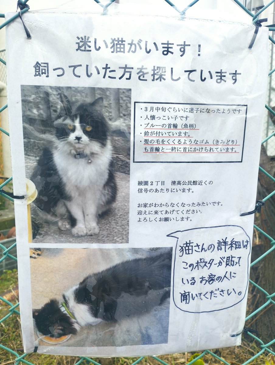 サンミー tweet media