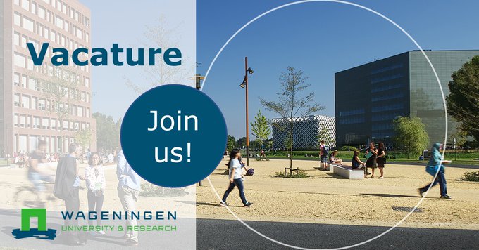 AgriHolland's tweet image. #vacature: Proeftechnisch specialist kasklimaat bij Wageningen University &amp;amp; Research in Wageningen #onderwijs #onderzoek #plantenteelt #klimaatregeling #advies. Zie agriholland.nl/vacaturebank/4…