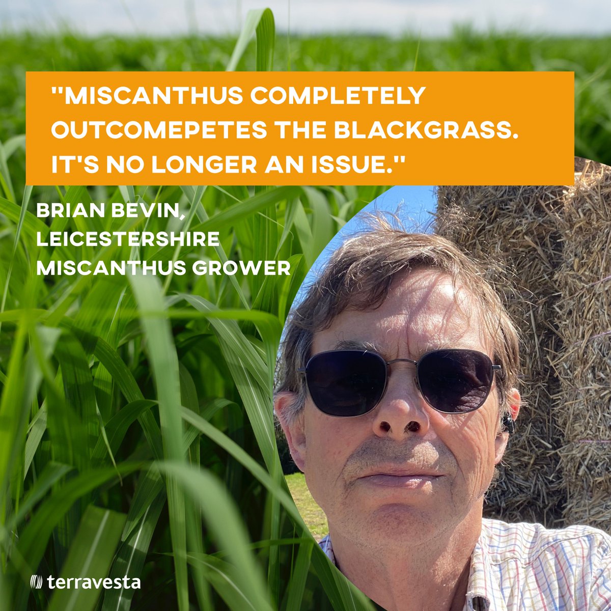 Terravesta's tweet photo. We’re launching our Grower Stories series with Leicestershire farmer Brian Bevin, who shares how switching to Miscanthus has helped him tackle blackgrass, reduce inputs, and bring greater stability to his farming system.

👉https://t.co/I1dwnmeZ9o https://t.co/hDGu4Quiiu
