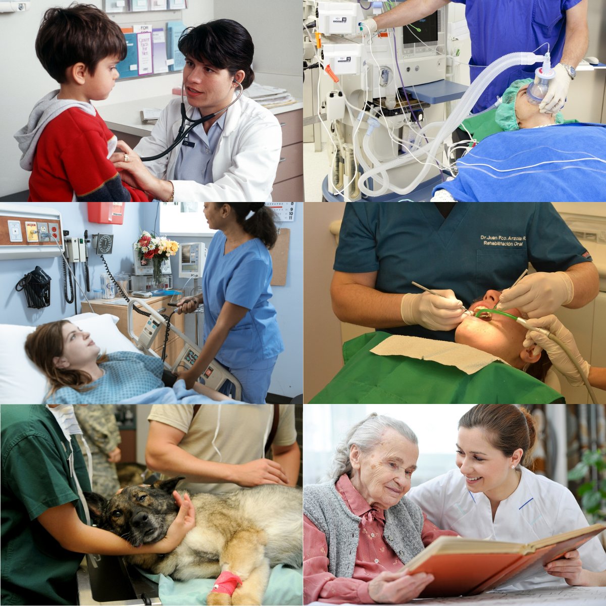 Innotec_Hygiene's tweet image. The #OxyPharm system has grown into one of the premier #decontamination systems within the #Healthcare field ow.ly/Euxi30sUUJm