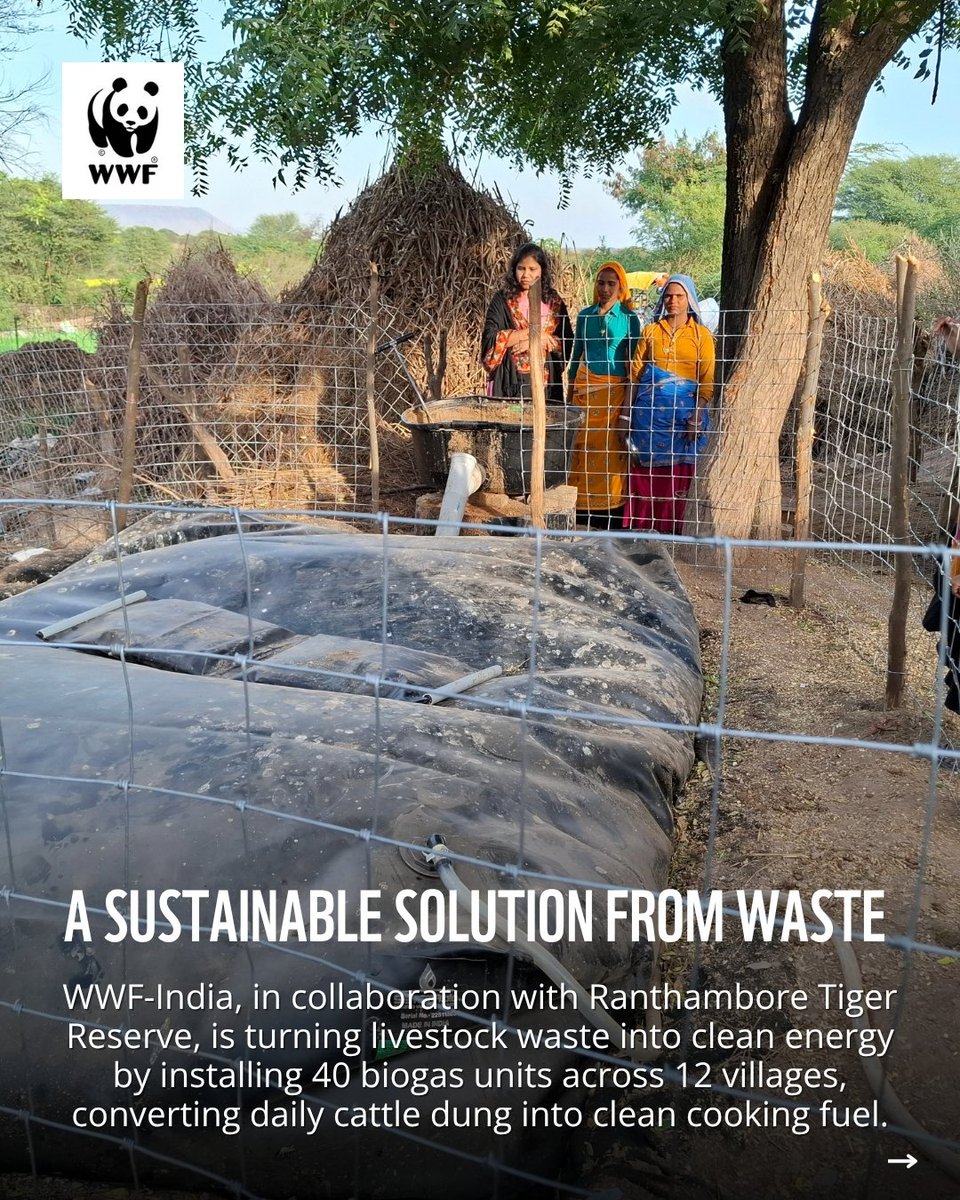 WWF-India tweet media