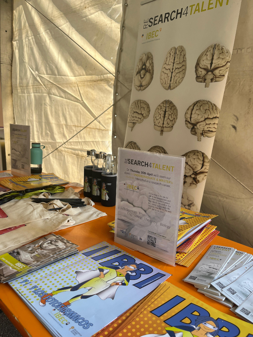 IBECBarcelona's tweet photo. 🔬 A l’#IBEC continuem apropant la recerca en enginyeria biomèdica als estudiants!
Aquestes setmanes hem participat a la XX Fira de Ciències i Enginyeries de la UB i al IX Fòrum de Talent en Enginyeria Biomèdica, compartint oportunitats i inspirant noves vocacions científiques. https://t.co/Wg66CtQCzN