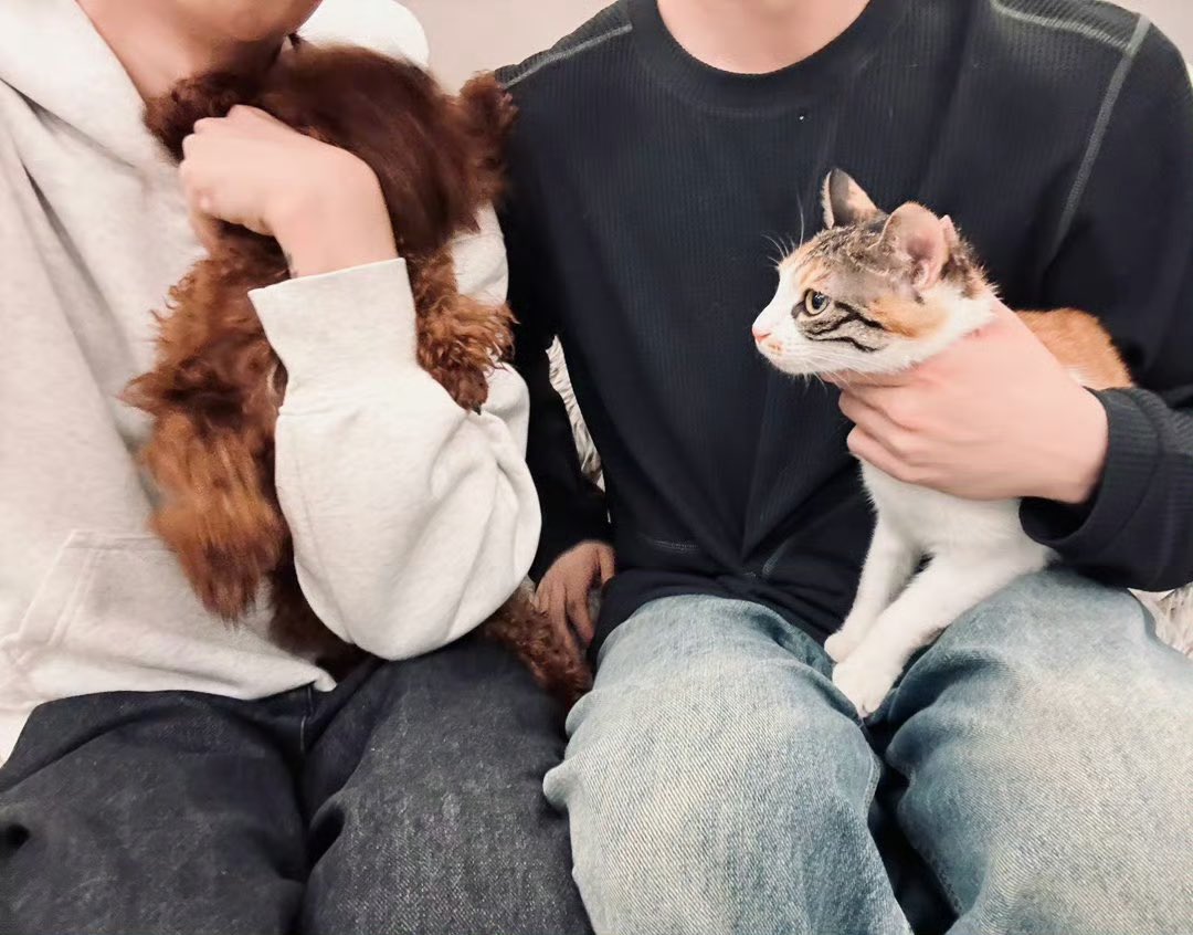 OrangeFair tweet media