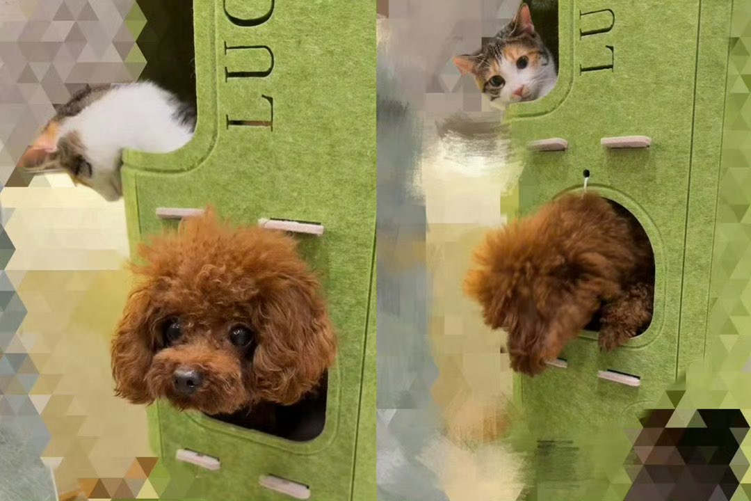 OrangeFair tweet media