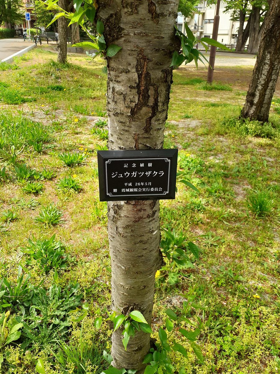 月山 tweet media