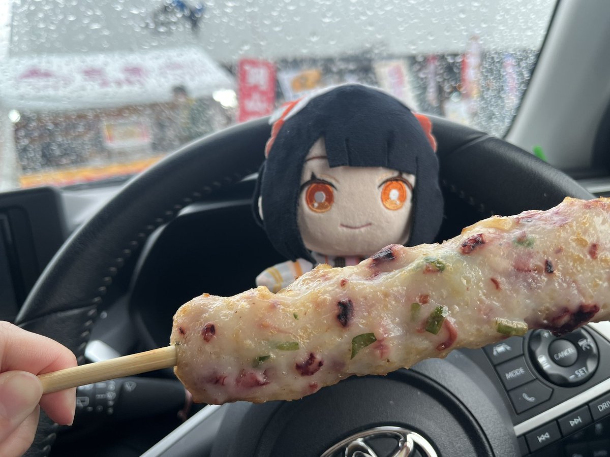 旅の途中でケバブを食べたよ〜！
生憎の雨模様だけど、楽しいドライブ！
ひなちゃんはいかがお過ごしかな？

 #ひなちゃん連絡帳
 #親鳥ケバ部