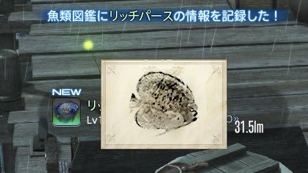 わん tweet media