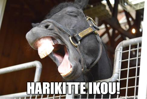 Wors 🔱 tweet media