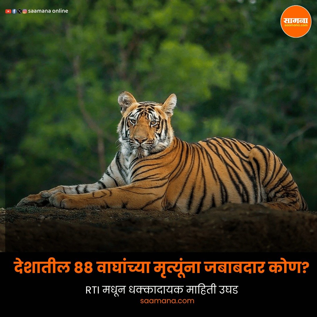Saamana Online tweet media