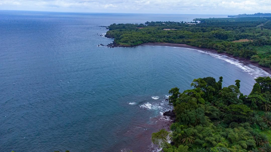 FGrenville_A's tweet image. The village of Bakingili along the coastline in the South West 🇨🇲📍
A place where black volcanic sands meet the Atlantic Ocean providing a quiet coastal gem with sea breeze, scenery, and serenity all together. 

Credit @VisiterLe 

#Cameroon