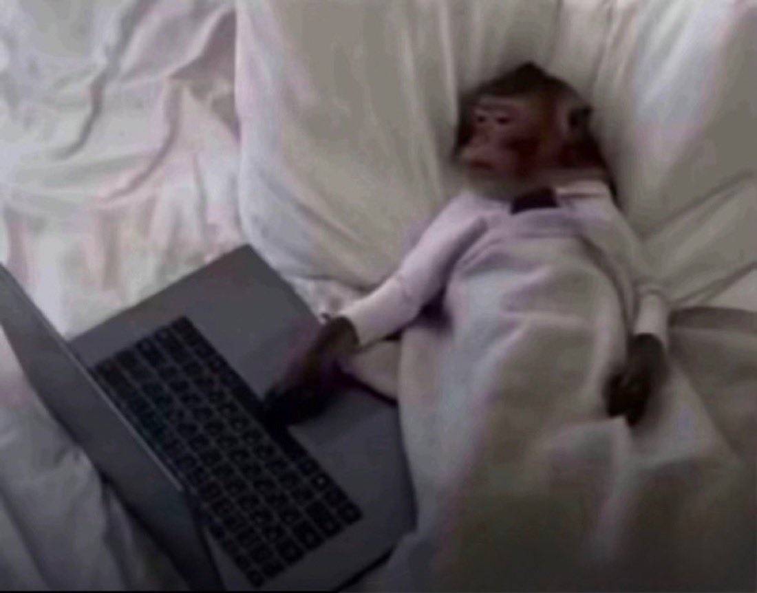 mika 🖤 tweet media