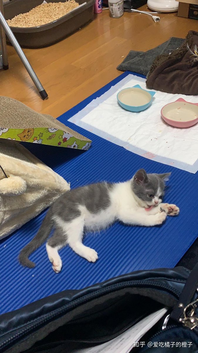 Perli julie tweet media