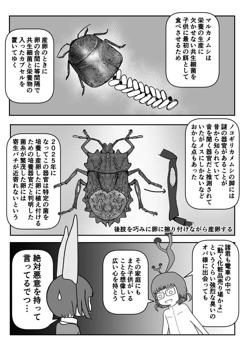 色々と誤解されてそうな動物を漫画で解説していくぞい。  第59回「カメムシ」2/2 #クック先生の動物講座 #漫画が読めるハッシュタグ 