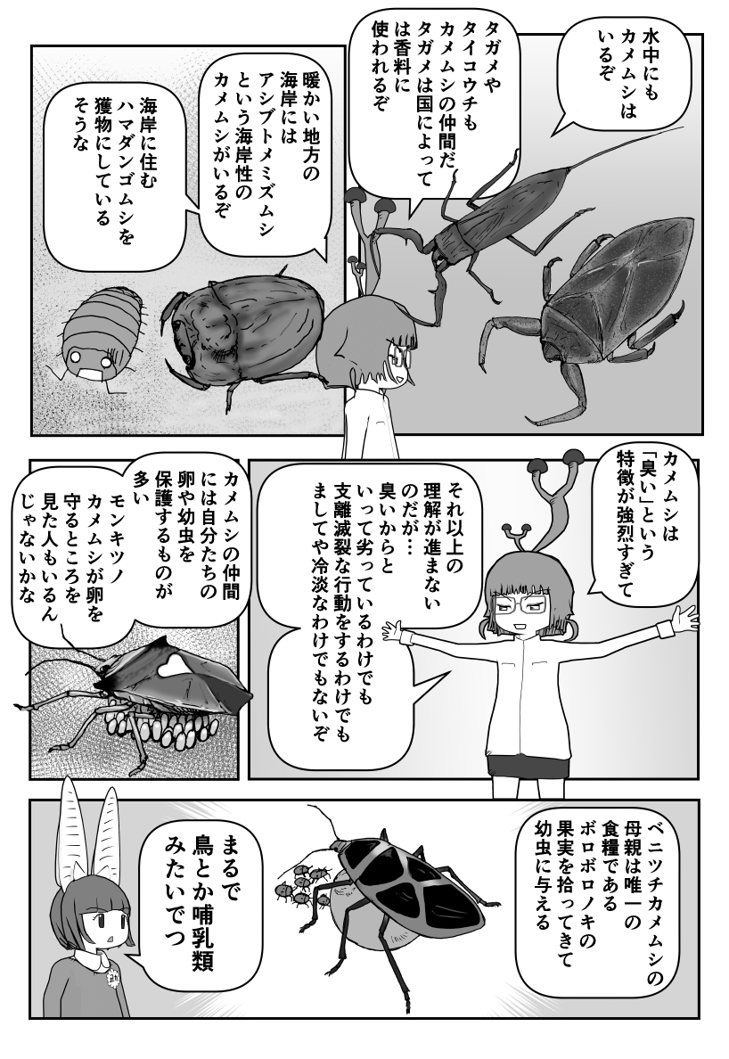 色々と誤解されてそうな動物を漫画で解説していくぞい。  第59回「カメムシ」2/2 #クック先生の動物講座 #漫画が読めるハッシュタグ 