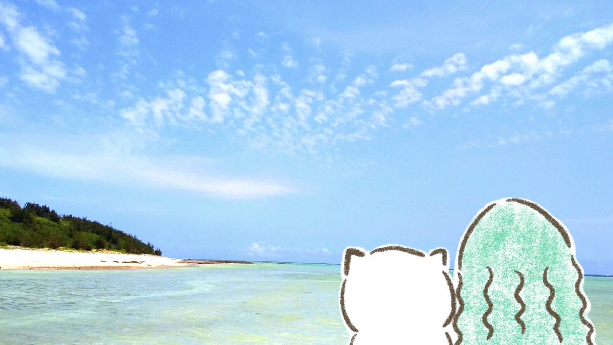 つむぎ tweet media